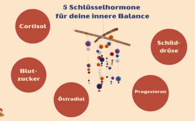 5 Schlüsselhormone für dein hormonelles Gleichgewicht in den Wechseljahren
