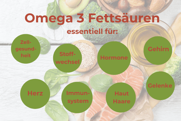Omega 3 Fettsäuren haben wichtige Funktionen in fast allen Geweben: Zellwände, Gefässe, Stoffwechsel, Herz, Gehirn, Hormone, Immunsystem, Haut, Haare, Gelenke