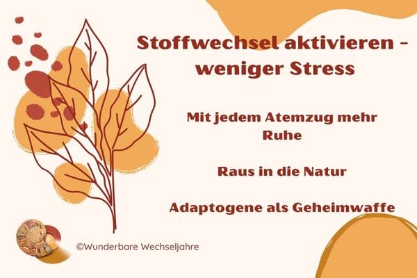 Überblick: Stoffwechsel aktivieren in den Wechseljahren durch weniger Stress