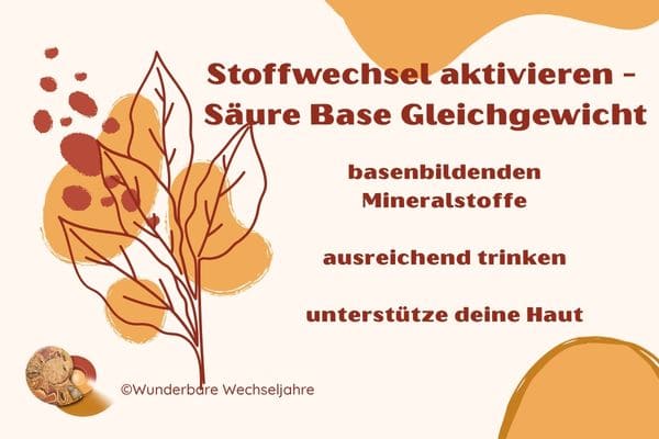 Überblick: Stoffwechsel aktivieren in den Wechseljahren mit Entsäuerung