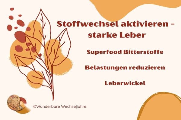 Überblick: Stoffwechsel aktivieren in den Wechseljahren mit einer starken Leber