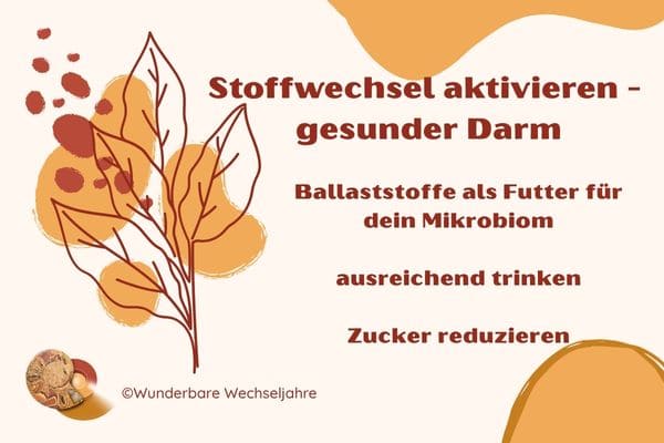 Überblick: Stoffwechsel aktivieren in den Wechseljahren durch einen gesunden Darm