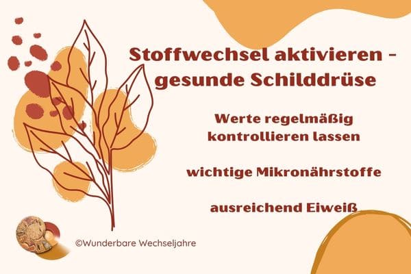 Überblick: Stoffwechsel aktivieren in den Wechseljahren mit einer gesunden Schilddrüse