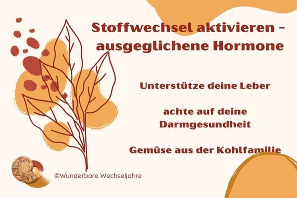 Überblick: Stoffwechsel aktivieren in den Wechseljahren durch ausgeglichene Hormone