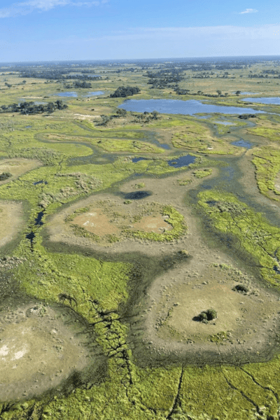 Blick von oben auf das Okavango Delta