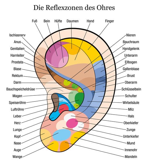 Reflexzonen des Ohres