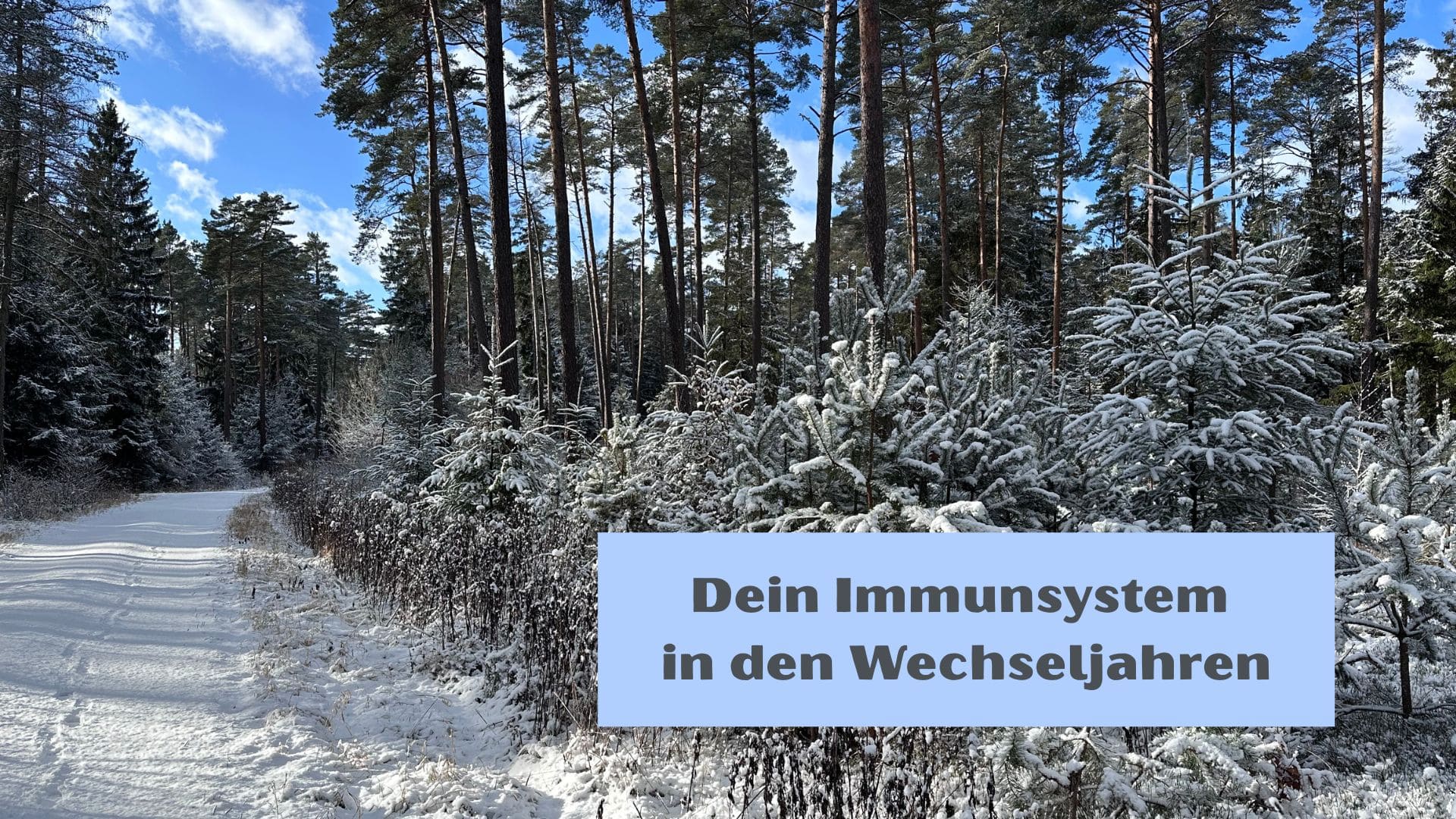 Winterbild mit Schnee