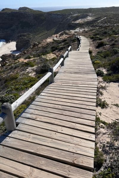 Weg entlang der Küste umgeben von Fynbos